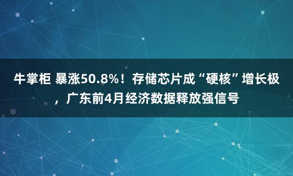 牛掌柜 暴涨50.8%！存储芯片成“硬核”增长极，广东前4月经济数据释放强信号